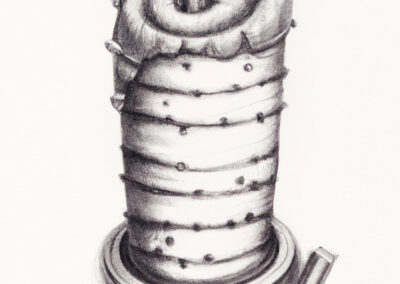 History Chimney Cake